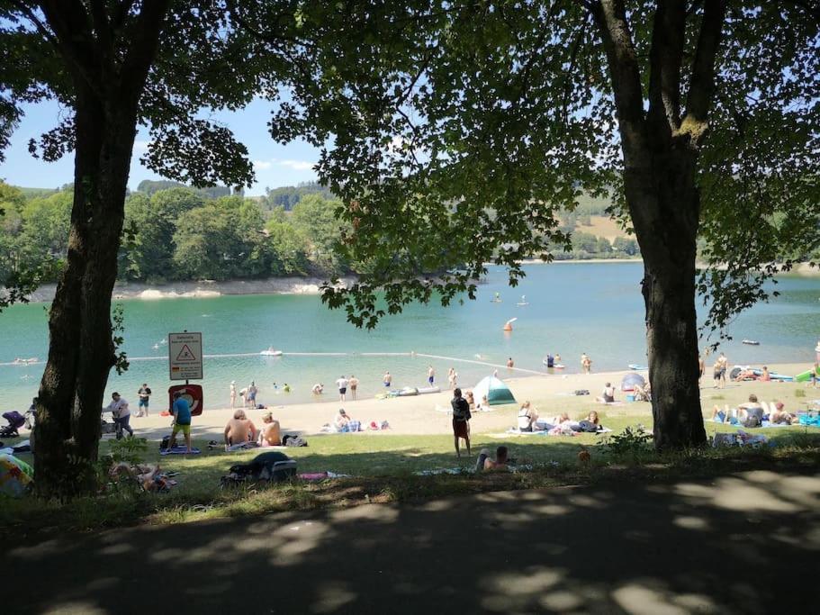 Ferienhaus Lena Im Sauerland Direkt Am Hennesee メシェデ エクステリア 写真