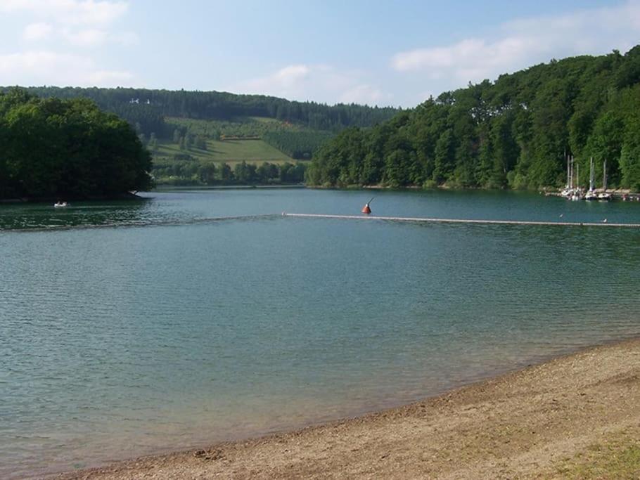 Ferienhaus Lena Im Sauerland Direkt Am Hennesee メシェデ エクステリア 写真