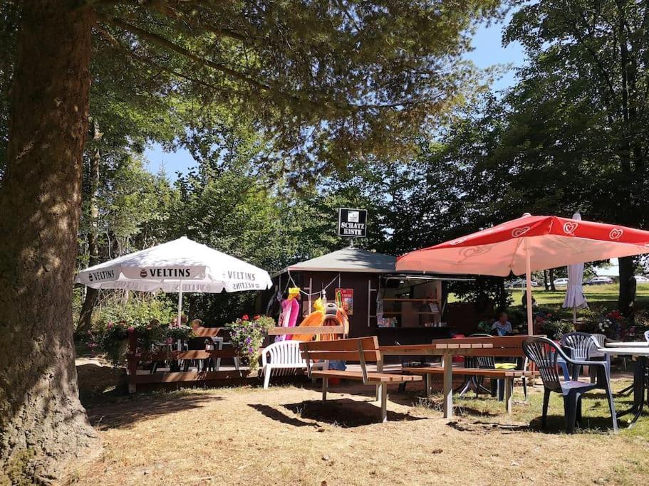 Ferienhaus Lena Im Sauerland Direkt Am Hennesee メシェデ エクステリア 写真